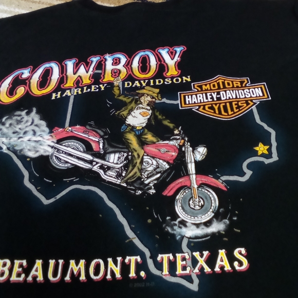 HARLEY DAVIDSON BEAUMONT TEXAS - Picture 5 of 10